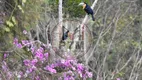 Foto 33 de Fazenda/Sítio com 2 Quartos à venda, 100m² em Ibiuna, Ibiúna