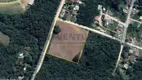 Foto 6 de Lote/Terreno à venda, 10000m² em Borda do Campo, São José dos Pinhais