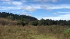 Foto 10 de Lote/Terreno à venda, 25000m² em , Rio Rufino