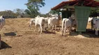 Foto 8 de Fazenda/Sítio com 5 Quartos à venda, 1600000m² em Area Rural de Novo Gama, Novo Gama
