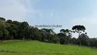 Foto 14 de Lote/Terreno à venda, 40000m² em Zona Rural, Urubici