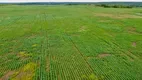 Foto 3 de Fazenda/Sítio à venda, 21500000m² em Centro, Paraíso do Tocantins