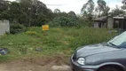 Foto 2 de Lote/Terreno à venda em São Victor Cohab, Caxias do Sul