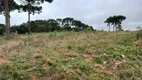 Foto 7 de Fazenda/Sítio com 1 Quarto à venda, 6000m² em Campo Largo da Roseira, São José dos Pinhais