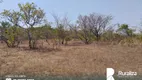 Foto 4 de Fazenda/Sítio à venda, 1461m² em Zona Rural, Dois Irmãos do Tocantins