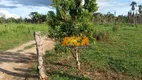 Foto 25 de Fazenda/Sítio à venda, 500000m² em Zona Rural, Humaitá