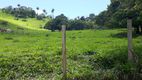 Foto 22 de Fazenda/Sítio à venda, 20000m² em Zona Rural, Caeté
