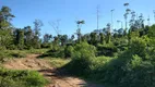 Foto 25 de Fazenda/Sítio com 2 Quartos à venda, 130000m² em Centro, Rodeio