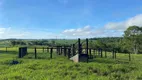 Foto 8 de Fazenda/Sítio à venda, 2m² em , Novo Planalto