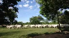 Foto 6 de Fazenda/Sítio com 2 Quartos à venda, 42165000m² em Zona Rural, Cocalinho