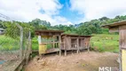 Foto 61 de Fazenda/Sítio com 4 Quartos à venda, 420m² em Sao Silvestre, Campo Largo