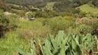 Foto 2 de Lote/Terreno à venda em São Victor Cohab, Caxias do Sul