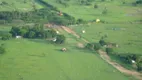 Foto 13 de Fazenda/Sítio com 20 Quartos à venda, 149000000m² em Zona Rural, Rondolândia