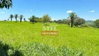 Foto 6 de Fazenda/Sítio à venda, 145200m² em Setor Central, Caturaí