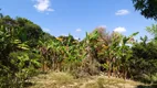Foto 56 de Fazenda/Sítio com 4 Quartos à venda, 86500m² em Aranha, Brumadinho