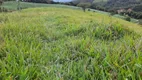 Foto 14 de Fazenda/Sítio à venda, 23600m² em Rio do Poncho, São Bonifácio