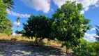 Foto 13 de Fazenda/Sítio com 3 Quartos à venda, 39000m² em Centro, Areia Branca