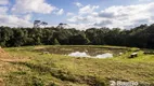 Foto 32 de Fazenda/Sítio com 3 Quartos à venda, 36300m² em Roça Velha, São José dos Pinhais