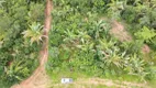 Foto 40 de Fazenda/Sítio à venda em Zona Rural , Chapada dos Guimarães