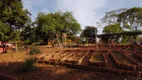 Foto 46 de Fazenda/Sítio com 3 Quartos à venda, 35000m² em Ponte Alta Norte, Brasília