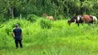 Foto 4 de Lote/Terreno à venda, 5000m² em Serra de Mato Grosso Sampaio Correia, Saquarema