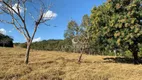 Foto 25 de Fazenda/Sítio com 7 Quartos à venda, 2000m² em Zona Rural, Aragoiânia