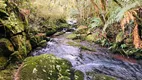 Foto 18 de Fazenda/Sítio à venda, 2000m² em Criúva, Caxias do Sul