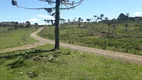 Foto 13 de Fazenda/Sítio com 2 Quartos à venda, 116000m² em Perico, São Joaquim