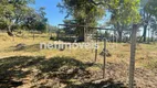 Foto 11 de Fazenda/Sítio com 3 Quartos à venda, 56000m² em , Florestal