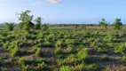 Foto 2 de Fazenda/Sítio com 4 Quartos à venda, 300m² em , Boa Saúde