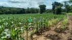 Foto 19 de Fazenda/Sítio com 4 Quartos à venda, 39m² em Zona Rural, Fortuna de Minas