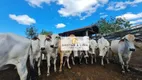 Foto 23 de Fazenda/Sítio à venda, 1000m² em Fonte Limpa, Araruama