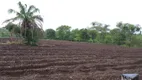 Foto 24 de Fazenda/Sítio com 3 Quartos à venda, 1452000m² em Zona Rural, Montes Claros de Goiás