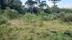 Foto 3 de Fazenda/Sítio com 1 Quarto à venda, 5000m² em Campo Largo da Roseira, São José dos Pinhais