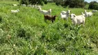 Foto 6 de Fazenda/Sítio à venda, 50m² em , Cristalândia