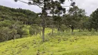Foto 5 de Fazenda/Sítio à venda, 100000m² em Aguas Brancas, Urubici