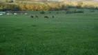 Foto 3 de Fazenda/Sítio com 3 Quartos à venda, 160000m² em Maracana, Glorinha