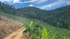 Foto 32 de Fazenda/Sítio à venda, 200000m² em Centro, Marechal Floriano