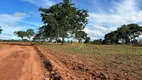 Foto 24 de Fazenda/Sítio à venda, 3678400m² em , Jussara