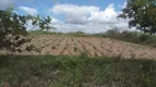 Foto 10 de Fazenda/Sítio com 3 Quartos à venda, 27000m² em Trairas, Macaíba