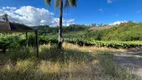 Foto 23 de Lote/Terreno à venda, 140000m² em Sao Valentin, Bento Gonçalves