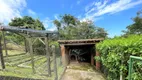 Foto 63 de Fazenda/Sítio com 3 Quartos à venda, 500m² em Rubins, Socorro