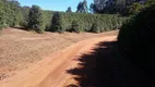 Foto 22 de Fazenda/Sítio com 3 Quartos à venda, 90m² em Zona Rural, Lambari