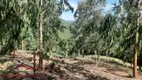 Foto 6 de Lote/Terreno à venda, 29000m² em , Picada Café