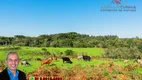Foto 17 de Fazenda/Sítio à venda, 70000m² em Zona Rural, Três Coroas