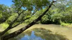 Foto 7 de Fazenda/Sítio com 3 Quartos à venda, 95m² em Zona Rural, Terenos