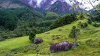 Foto 55 de Fazenda/Sítio com 5 Quartos à venda, 10500000m² em Vista Alegre, Teresópolis