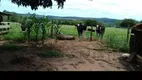 Foto 3 de Fazenda/Sítio com 3 Quartos à venda, 100m² em Zona Rural, Angatuba