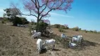 Foto 2 de Fazenda/Sítio à venda, 1180m² em Zona Rural, Poconé