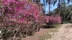 Foto 34 de Fazenda/Sítio com 4 Quartos à venda, 640m² em Bairro do Carmo, São Roque